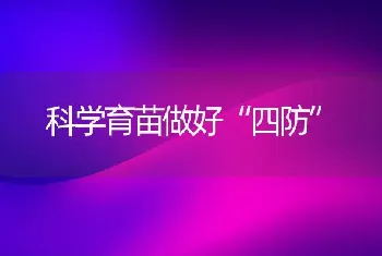 科学育苗做好“四防”