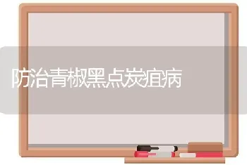 防治青椒黑点炭疽病