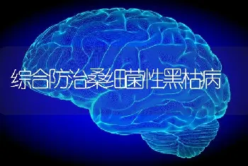 综合防治桑细菌性黑枯病