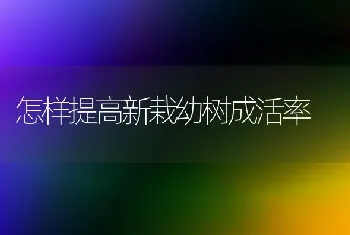 怎样提高新栽幼树成活率