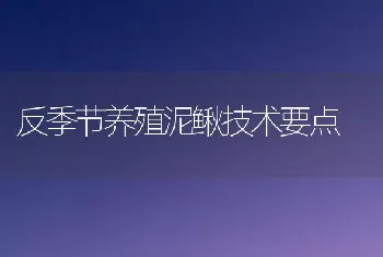 反季节养殖泥鳅技术要点