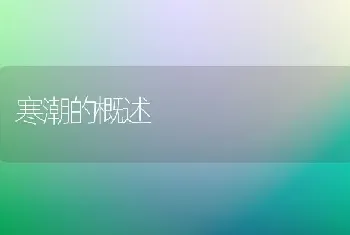 寒潮的概述