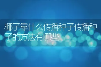 椰子靠什么传播种子传播种子的方法有哪些