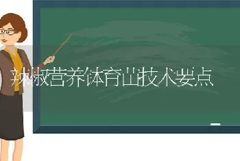 辣椒营养钵育苗技术要点