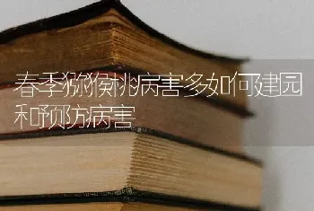 春季猕猴桃病害多如何建园和预防病害