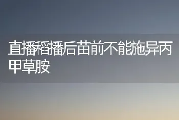 直播稻播后苗前不能施异丙甲草胺