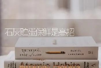 石灰贮蛋保鲜是高招