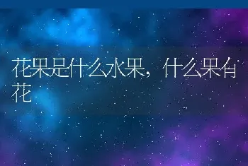 花果是什么水果