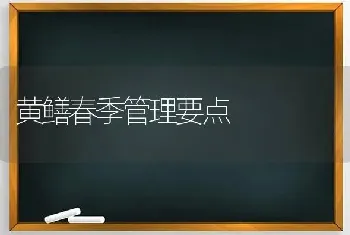 黄鳝春季管理要点