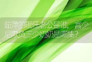 茹萍的现任老公是谁