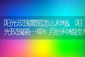 阳光玫瑰葡萄怎么种植