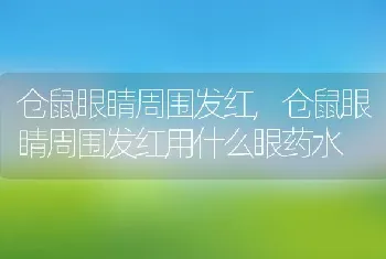 仓鼠眼睛周围发红,仓鼠眼睛周围发红用什么眼药水