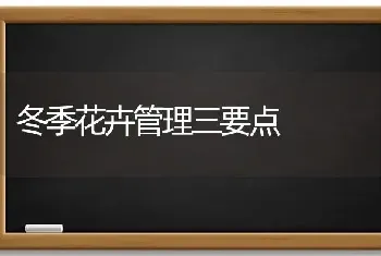 冬季花卉管理三要点