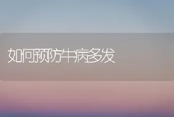 如何预防牛病多发