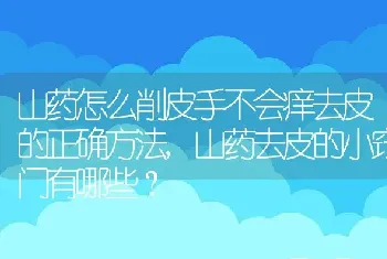 山药怎么削皮手不会痒去皮的正确方法