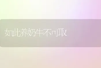 如此养奶牛不可取