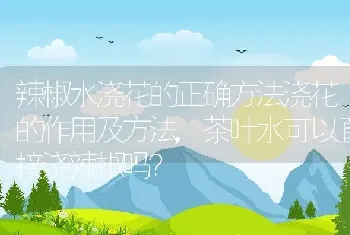 辣椒水浇花的正确方法浇花的作用及方法