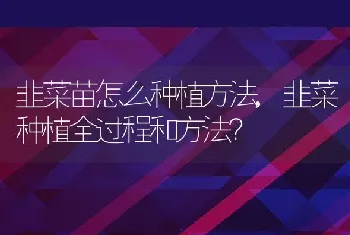 韭菜苗怎么种植方法