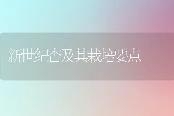 新世纪杏及其栽培要点