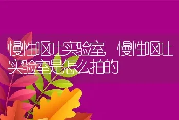 慢性呕吐实验室,慢性呕吐实验室是怎么拍的