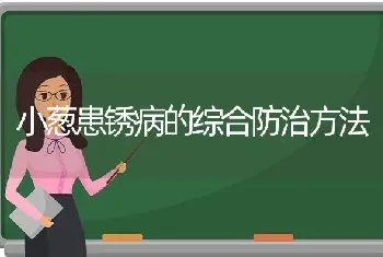 小葱患锈病的综合防治方法