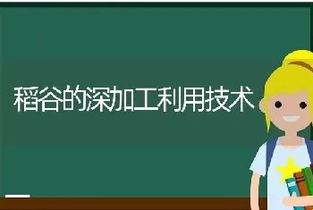 稻谷的深加工利用技术