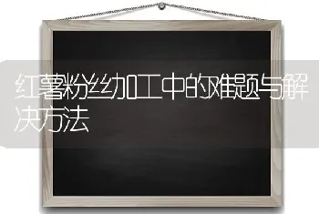 红薯粉丝加工中的难题与解决方法