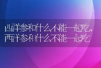 西洋参和什么不能一起吃