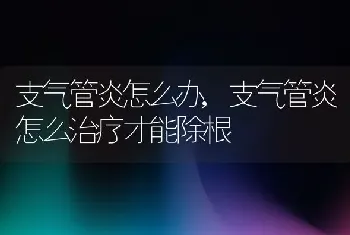 支气管炎怎么办,支气管炎怎么治疗才能除根