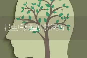 花生后期重点防两病