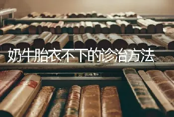 奶牛胎衣不下的诊治方法