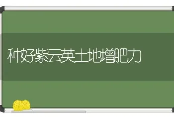 种好紫云英土地增肥力