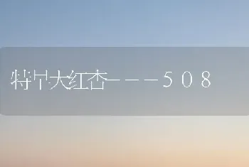 特早大红杏---508