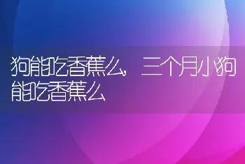 狗能吃香蕉么