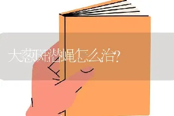 大葱斑潜蝇怎么治?