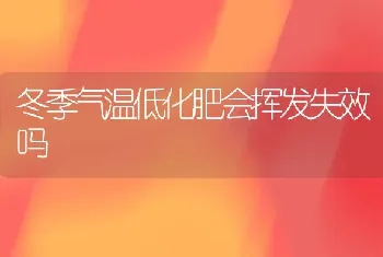 冬季气温低化肥会挥发失效吗