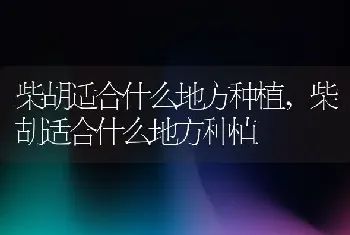 柴胡适合什么地方种植