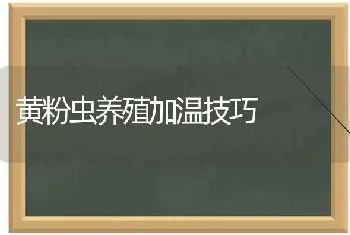 黄粉虫养殖加温技巧