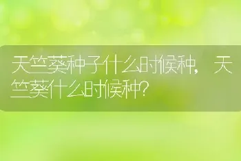 天竺葵种子什么时候种