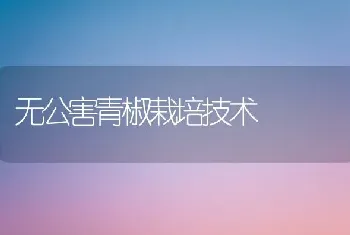 无公害青椒栽培技术