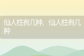 仙人柱有几种