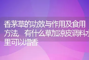 香茅草的功效与作用及食用方法