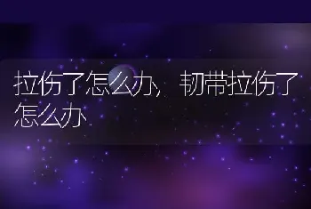 拉伤了怎么办,韧带拉伤了怎么办