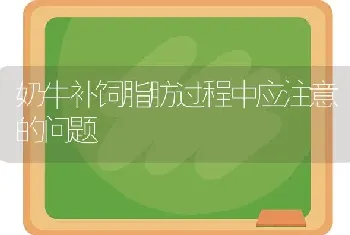 奶牛补饲脂肪过程中应注意的问题