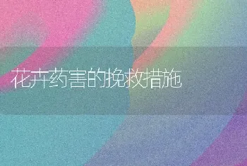 花卉药害的挽救措施