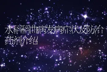 水稻稻曲病发病症状及防治药剂介绍