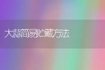 大蒜简易贮藏方法