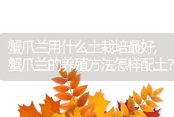 蟹爪兰用什么土栽培最好