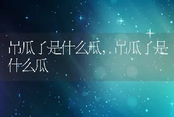 吊瓜子是什么瓜