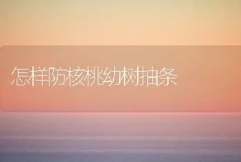 怎样防核桃幼树抽条